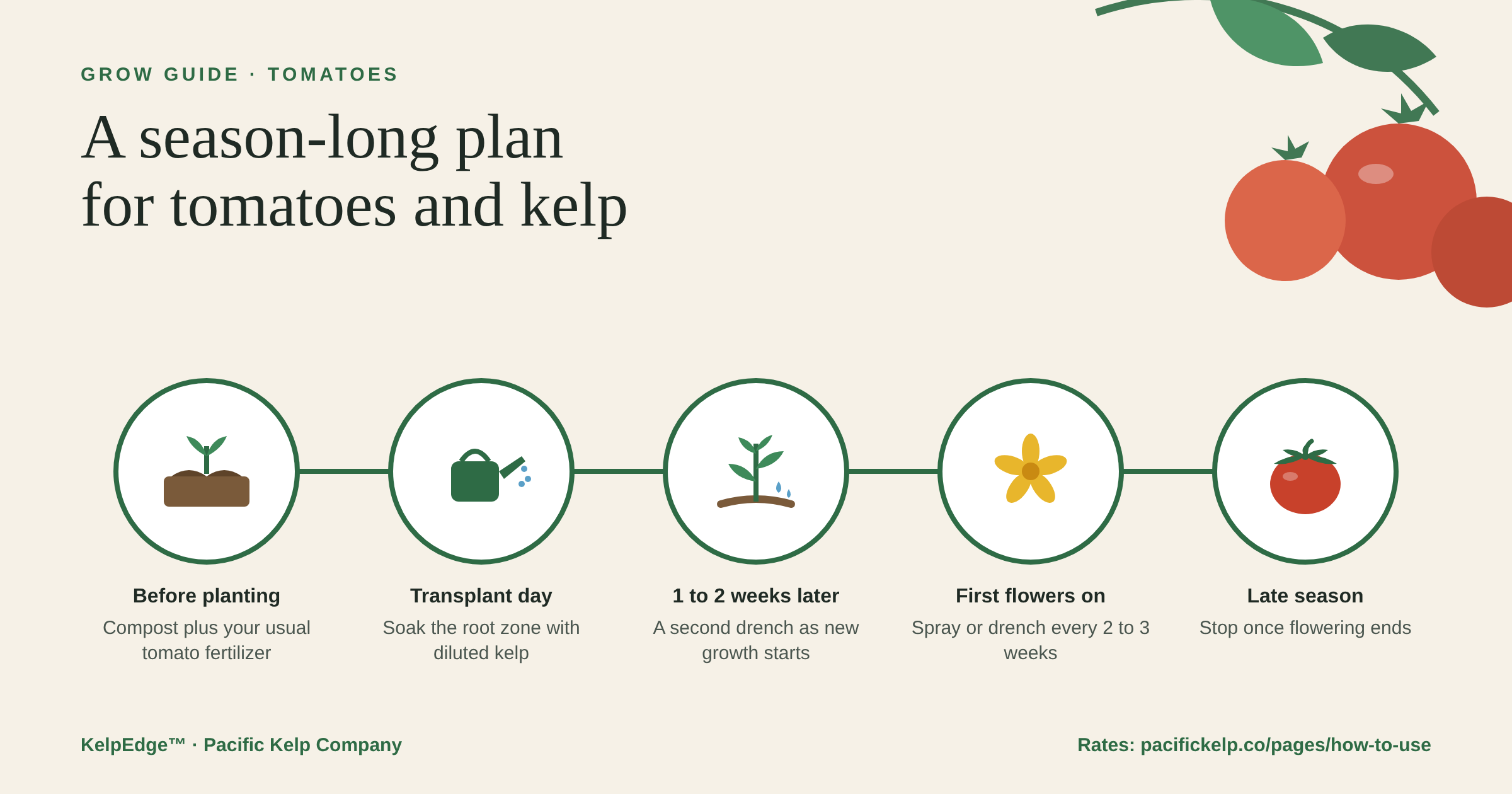 How to Use Kelp on Tomato Plants, Planting to Harvest – Pacific Kelp Co