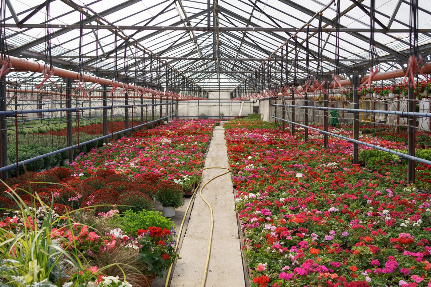 Greenhouse & Nursery