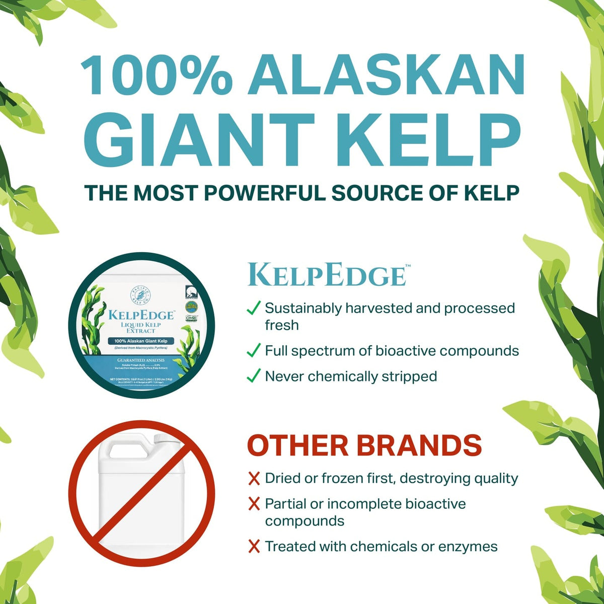 KelpEdge™ 1 Liter